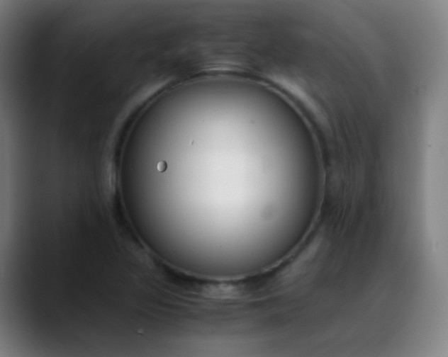 X0000089871317200707121747