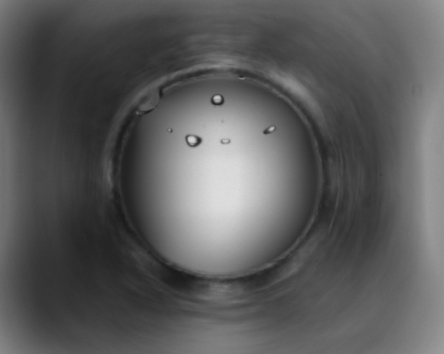 X0000089871318200707121747