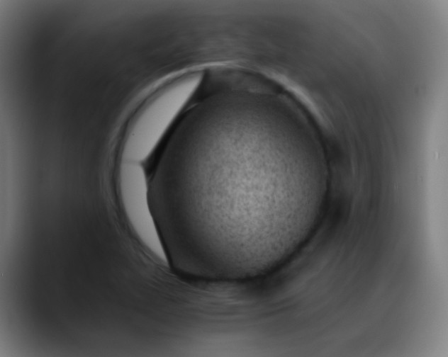 X0000089871319200707121747