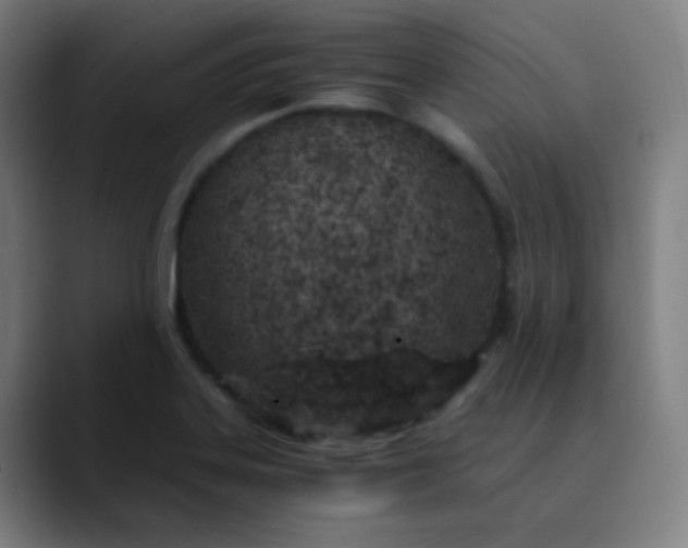 X0000089871323200707121747