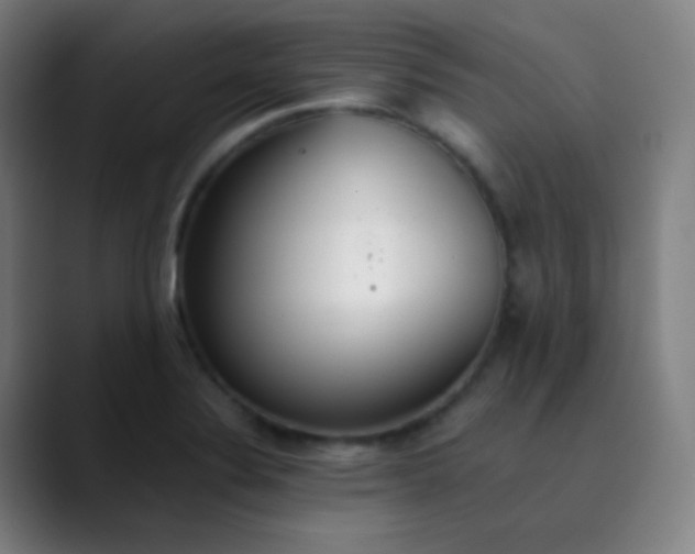 X0000089871324200707121747