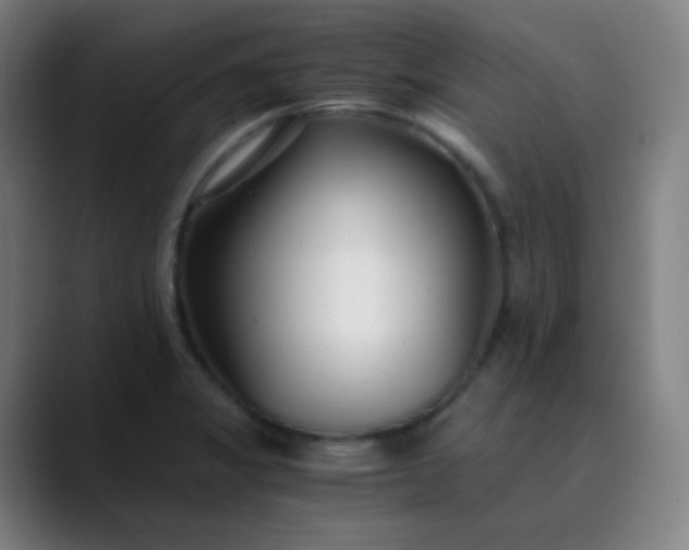X0000089871325200707121747
