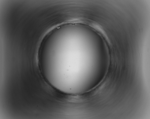 X0000089871328200707121747