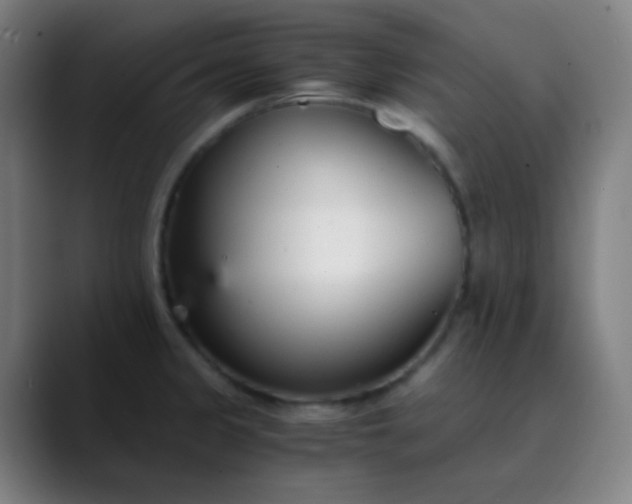X0000089871333200707121747