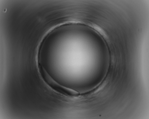 X0000089871334200707121747