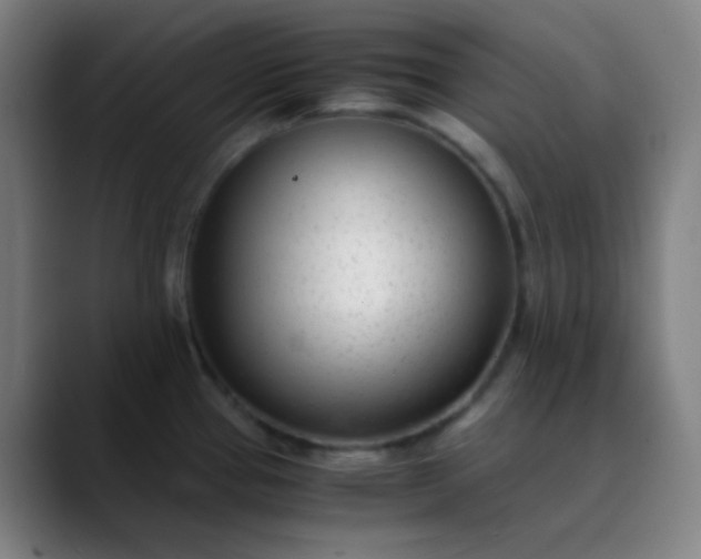 X0000089871337200707121747