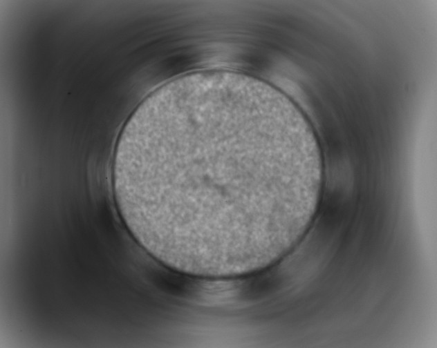 X0000089871338200707121747