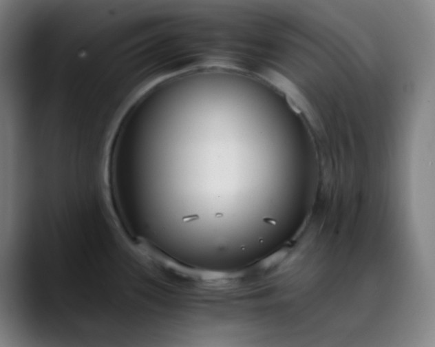 X0000089871339200707121747