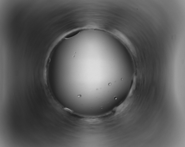 X0000089871340200707121747