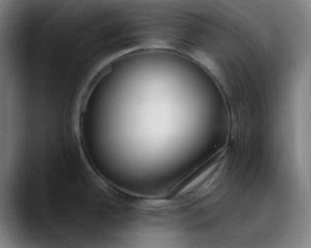 X0000089871342200707121747