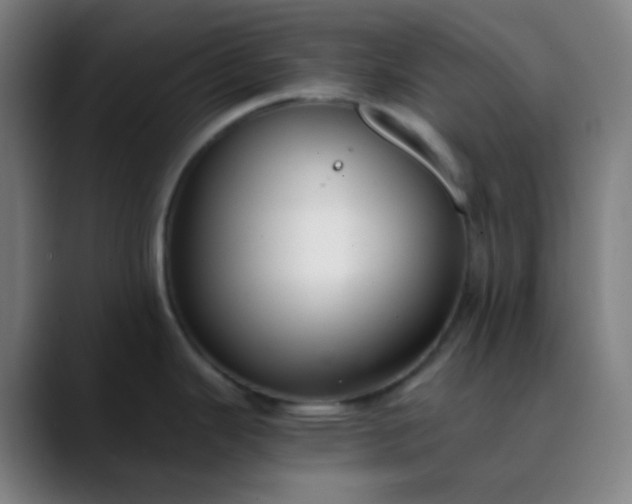 X0000089871343200707121747