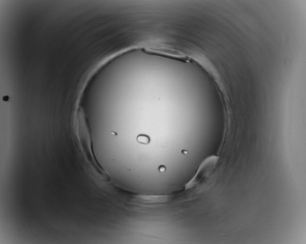 X0000089871344200707121747