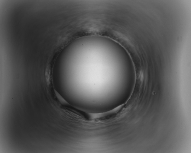 X0000089871348200707121747