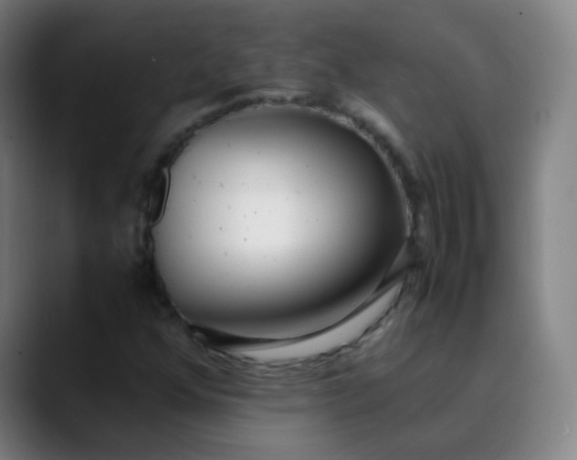 X0000089871352200707121747