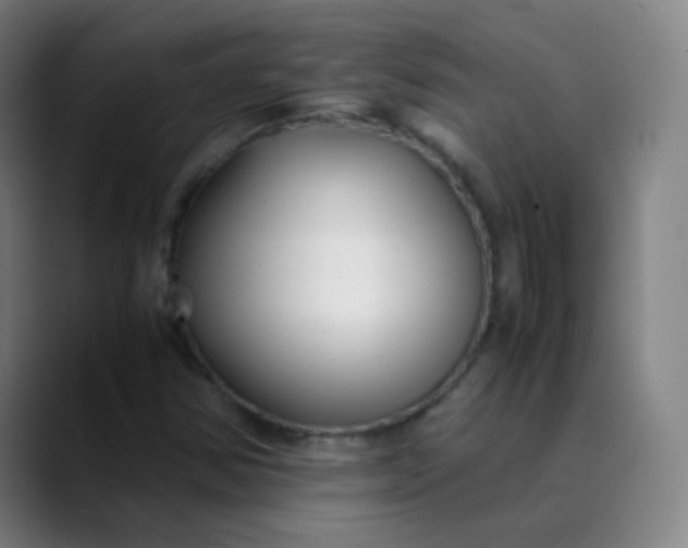 X0000089871354200707121747