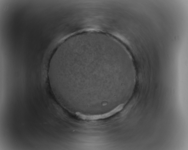 X0000089871359200707121747
