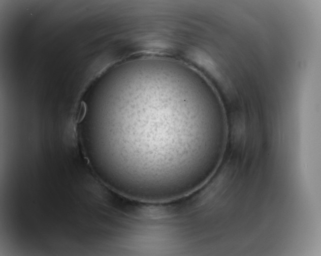 X0000089871362200707121747