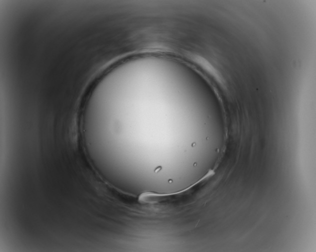 X0000089871364200707121747