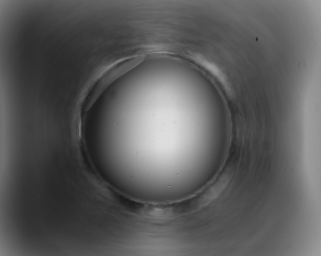 X0000089871365200707121747