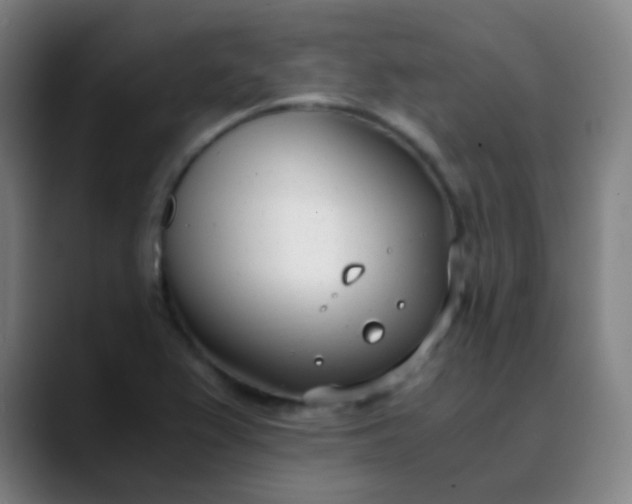 X0000089871367200707121746