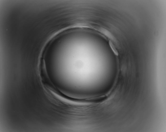 X0000089871372200707121746