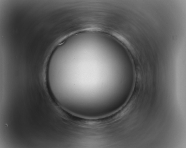 X0000089871375200707121746