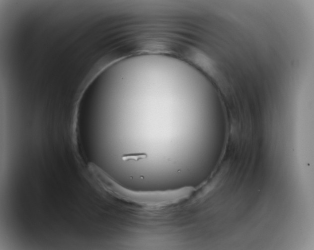 X0000089871378200707121746