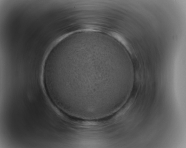 X0000089871379200707121746