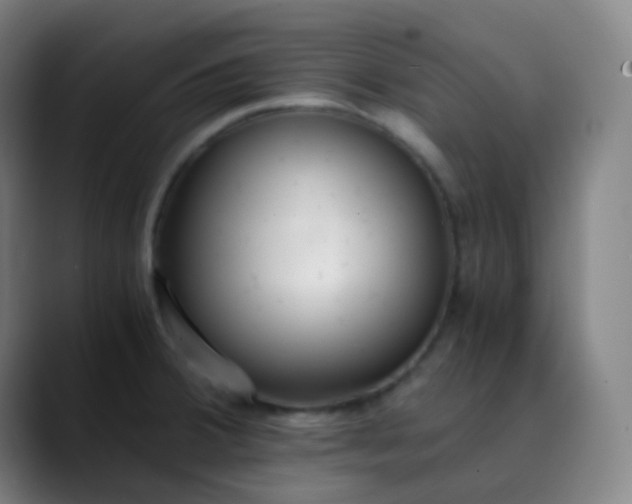 X0000089871380200707121746