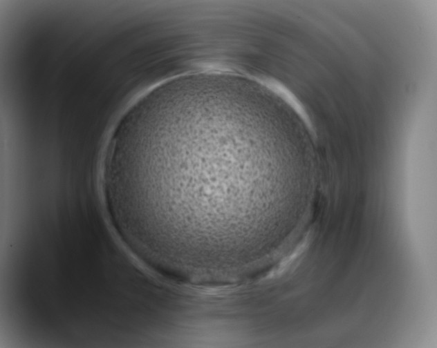 X0000089871381200707121746