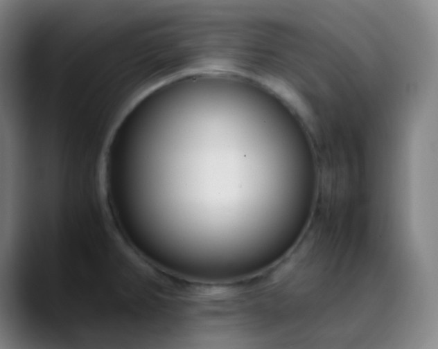 X0000089871382200707121746