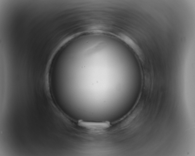 X0000089871384200707121746