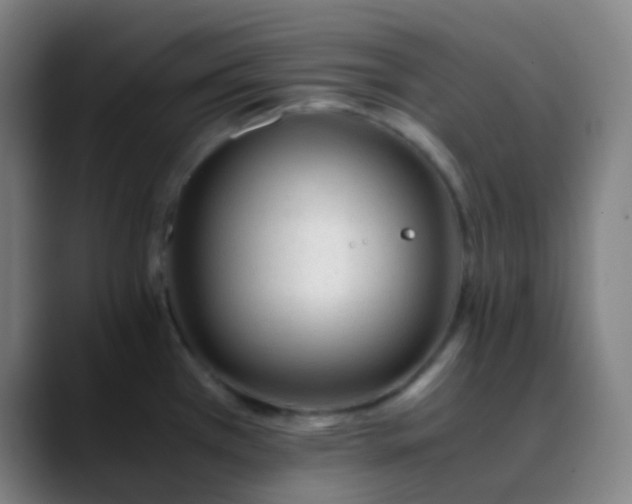 X0000089871385200707121746