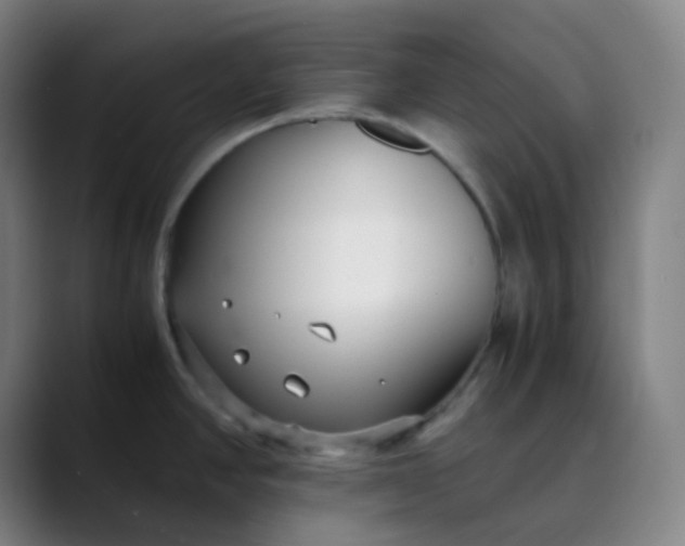X0000089871390200707121746