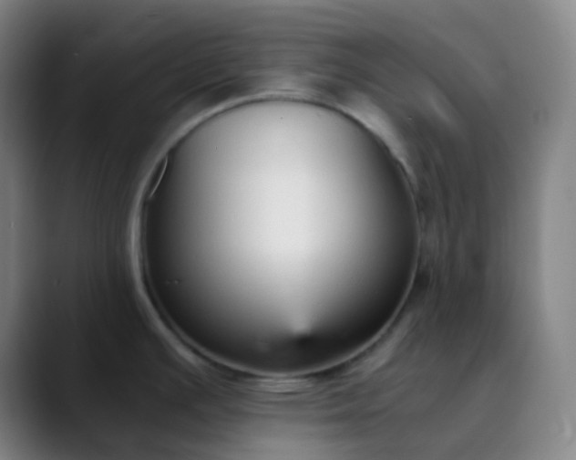X0000089871391200707121746