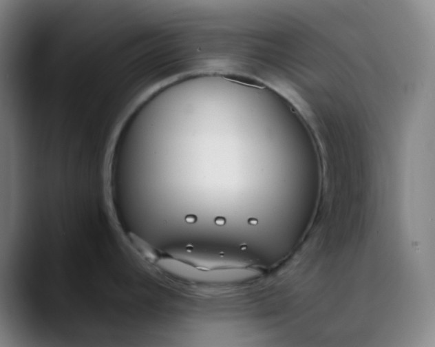 X0000089871392200707121746