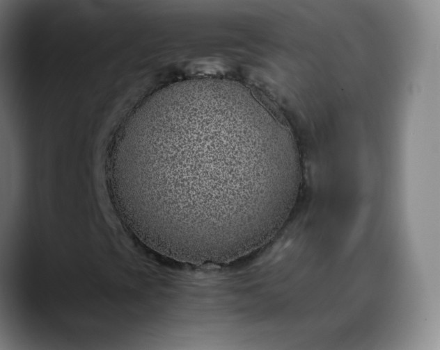 X0000089871393200707121746