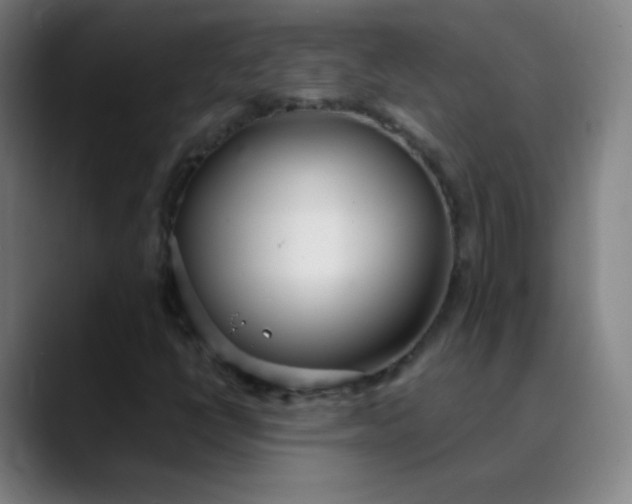 X0000089871398200707121746