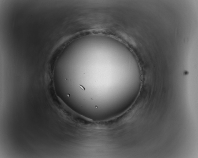 X0000089871400200707121746