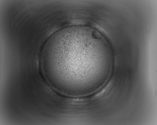 X0000089871401200707121746