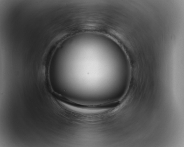 X0000089871402200707121746