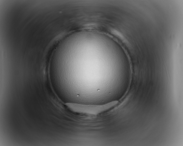 X0000089871403200707121746
