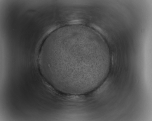 X0000089871405200707121746
