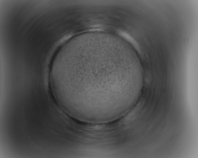 X0000089871411200707121746