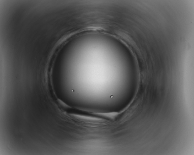 X0000089871412200707121746
