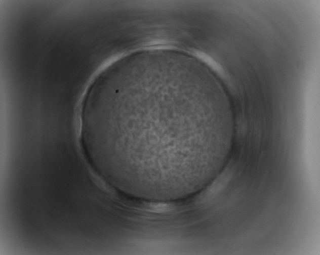 X0000089871413200707121746