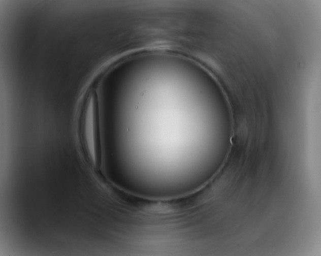 X0000089871414200707121746