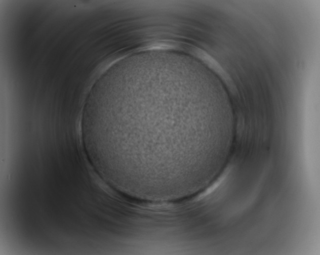 X0000089871417200707121746