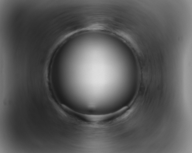 X0000089871422200707121746