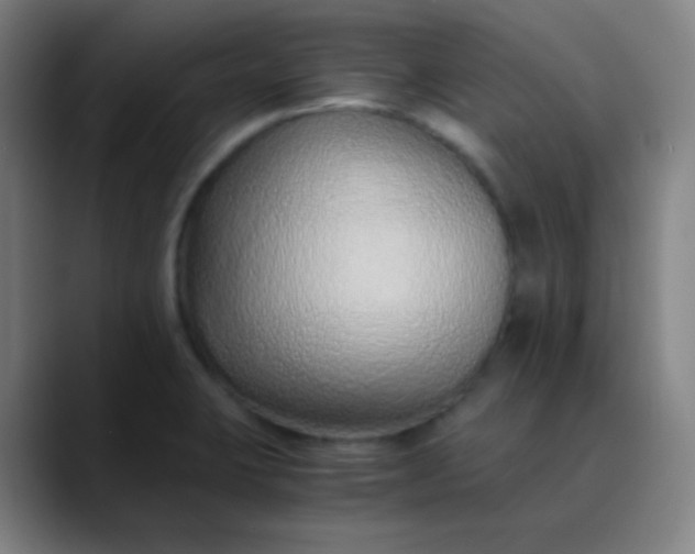 X0000089871423200707121746
